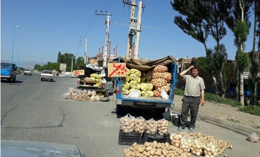 نابسامانی میوه فروش ها تضییع حقوق عامه است