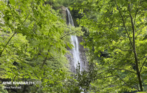 چشم اندازی از بهشت: آبشار لمیر در آغوش جنگلهای هیرکانی+عکس چشم اندازی از بهشت: آبشار لمیر در آغوش جنگلهای هیرکانی+عکس