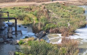 حل معضل قره‌سو در گرو همکاری تمام دستگاه‌هاست